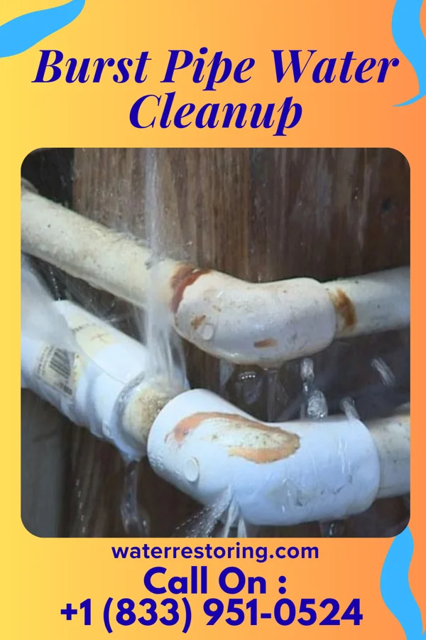Burst Pipe Water Cleanup in Milano, TX