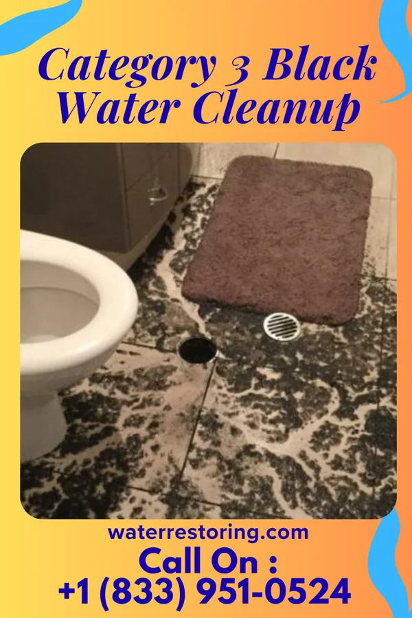 Category 3 Black Water Cleanup in Milano, TX