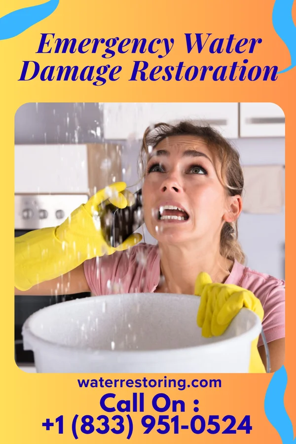 Emergency Water Damage Restoration in Milano, TX
