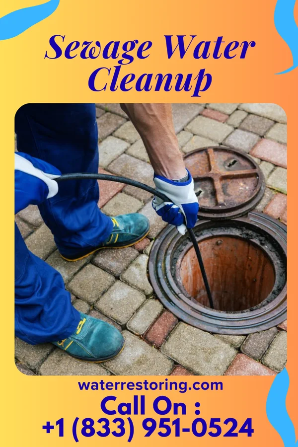 Sewage Water Cleanup in Milano, TX